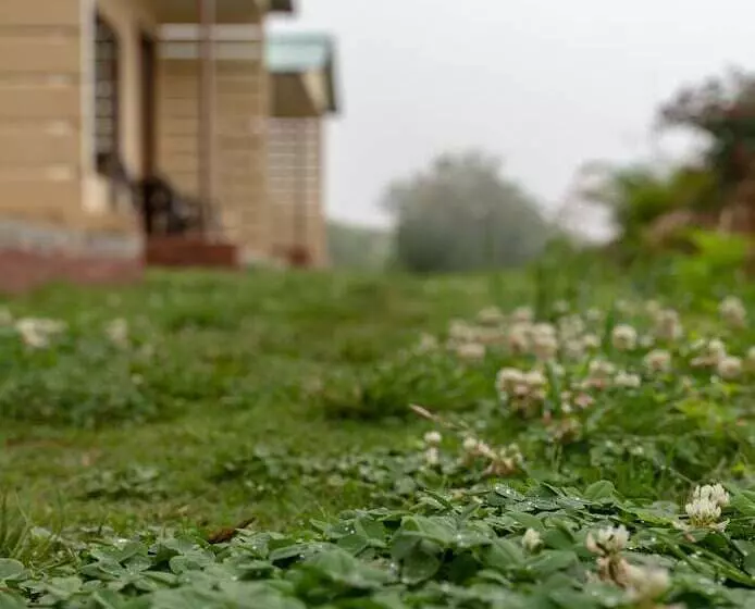 Hotelli The Goat Village Escape