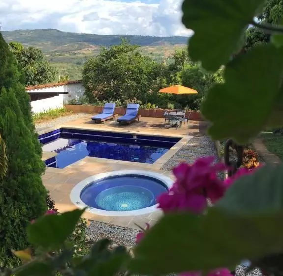 Arapaima B&b