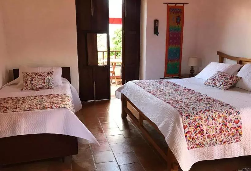 Arapaima B&b