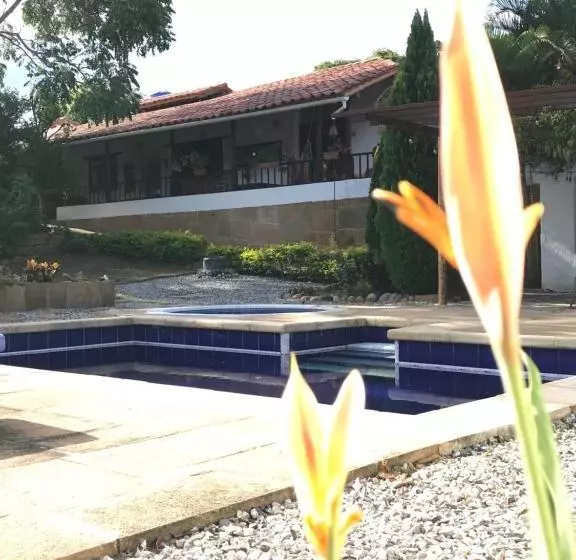 Arapaima B&b