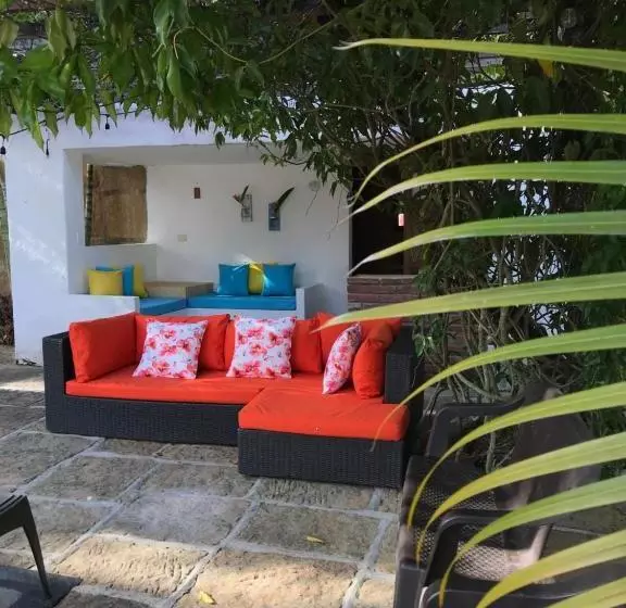 Arapaima B&b