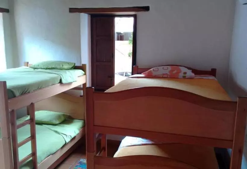 Arapaima B&b