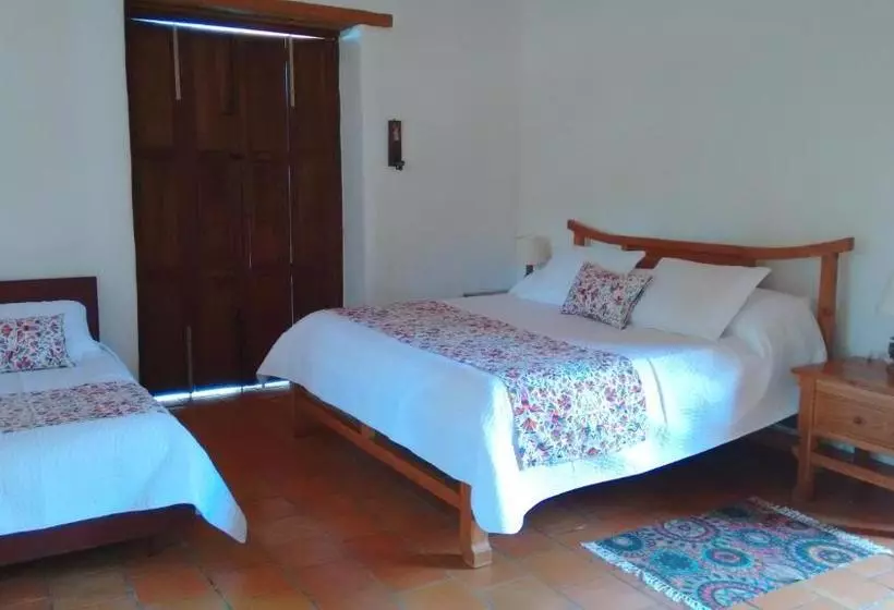 Arapaima B&b