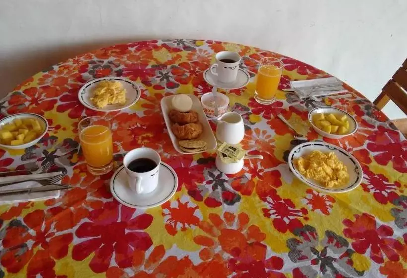 Arapaima B&b