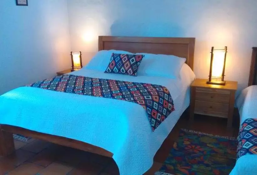 Arapaima B&b