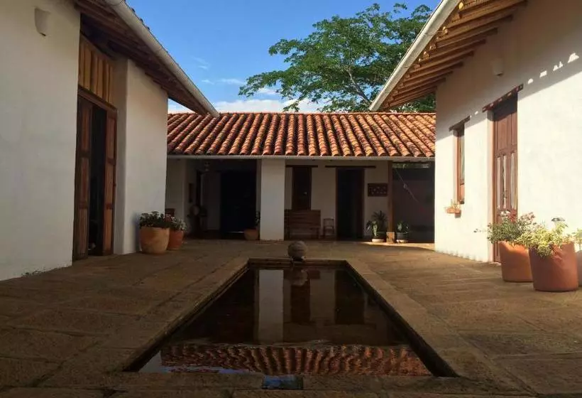 Arapaima B&b