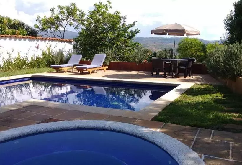 Arapaima B&b