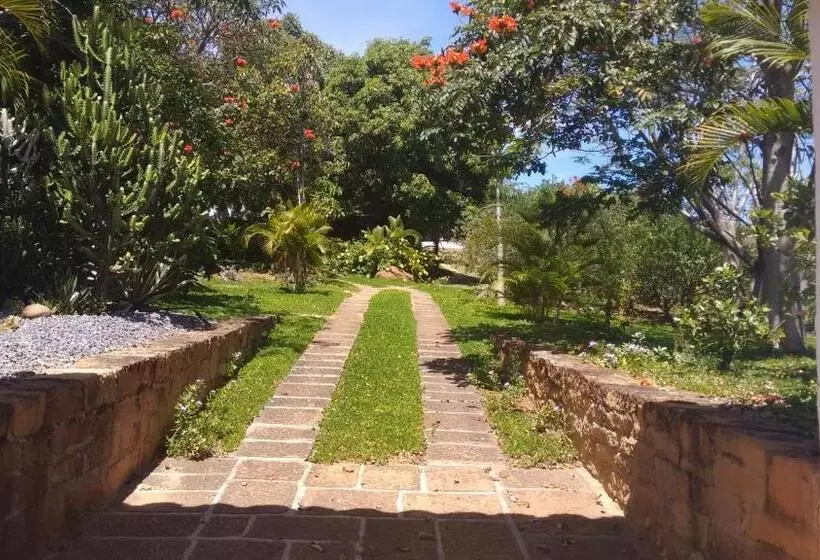 Arapaima B&b