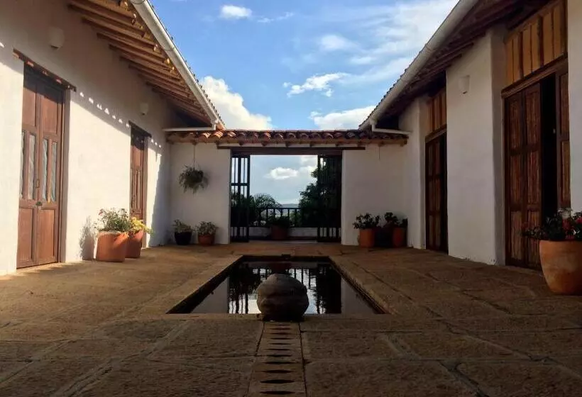 Arapaima B&b