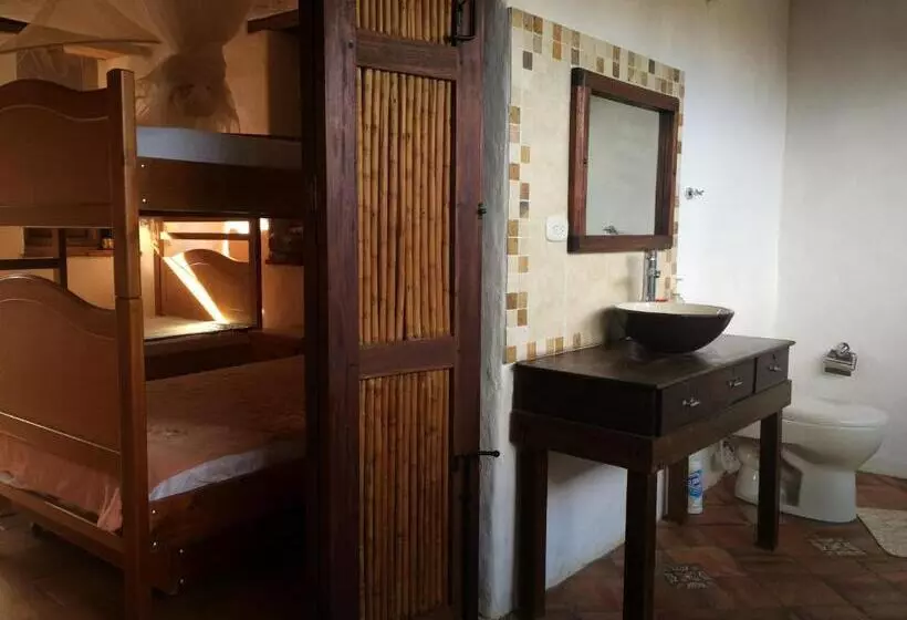 Arapaima B&b