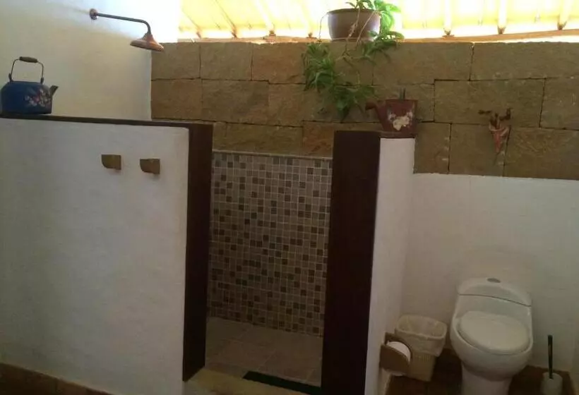 Arapaima B&b