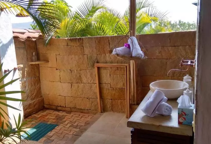 Arapaima B&b