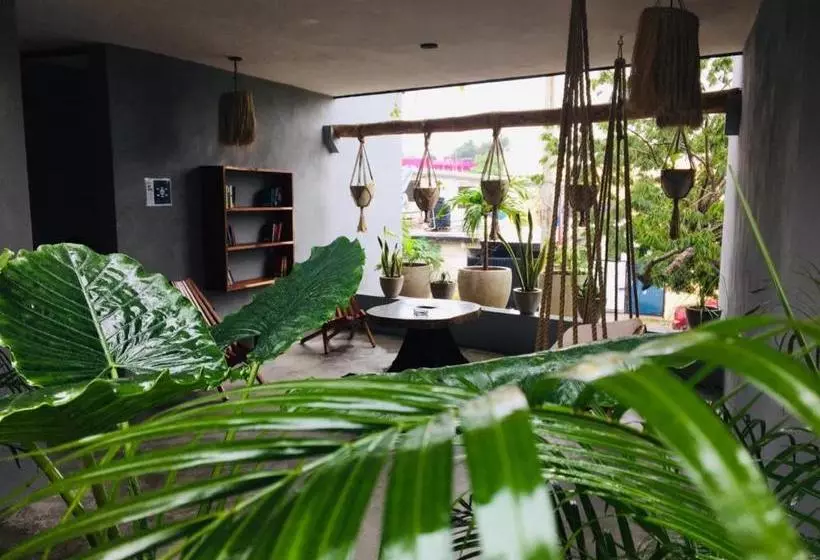 ホテル Ariché Tulum  & Hostal