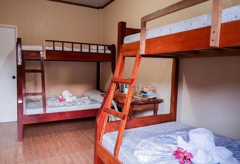 酒店 Casa Victoria Resort And Restaurant