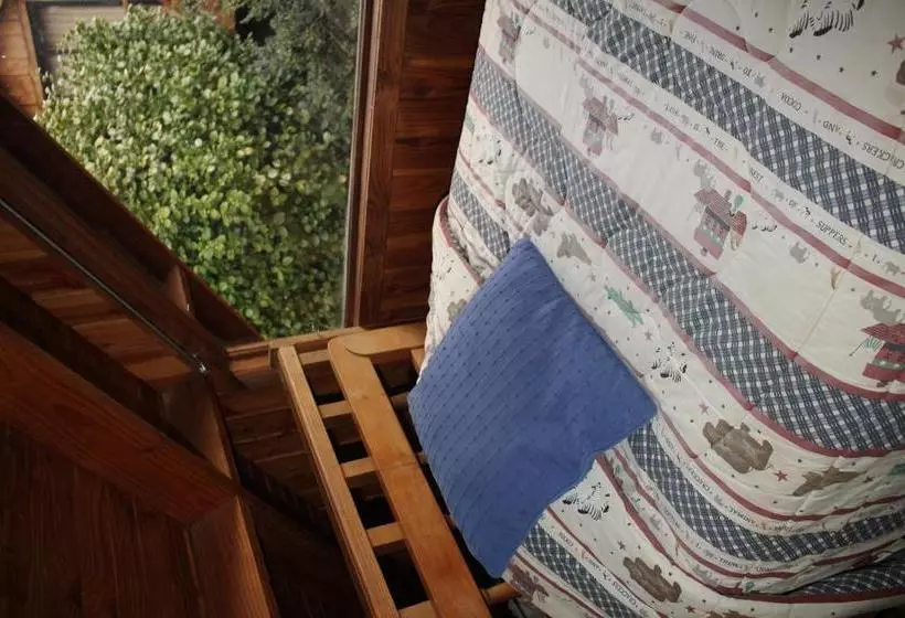 Hotelli Hosteria Cabañas Rucapillan