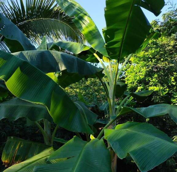 Pension (Hôtel basse catégorie) Mivals