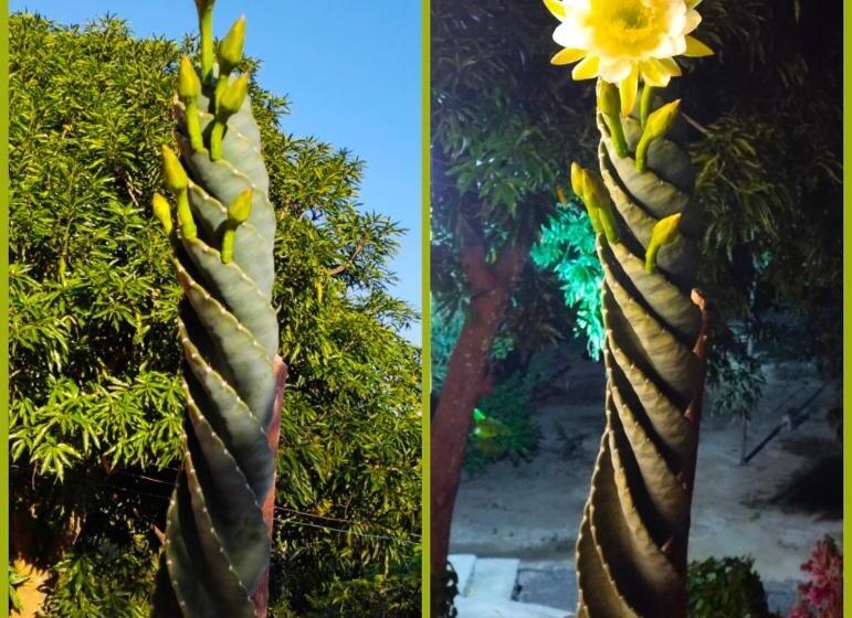 Pension (Hôtel basse catégorie) Mivals