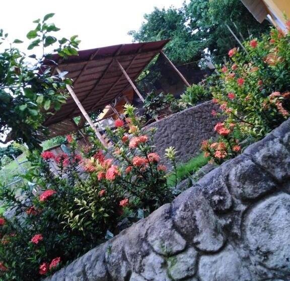 Pension (Hôtel basse catégorie) Mivals