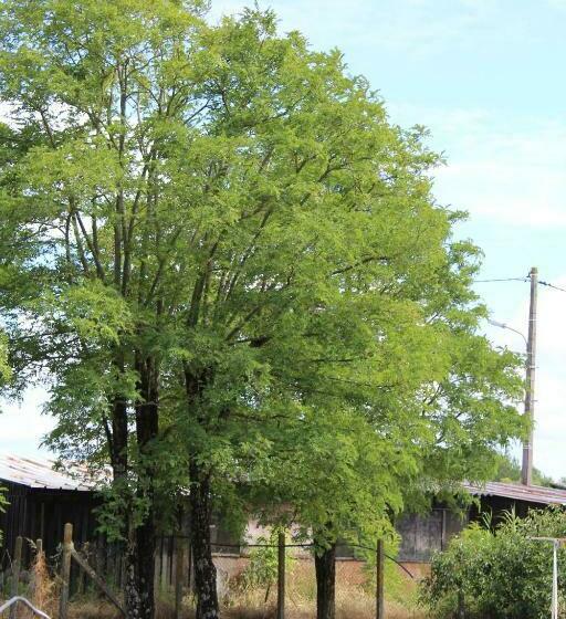 Contact Hotel Les Terrasses