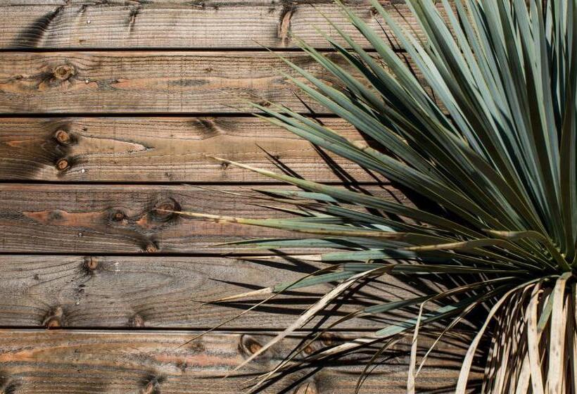 Hotel Le Lodge Des Iles D Or