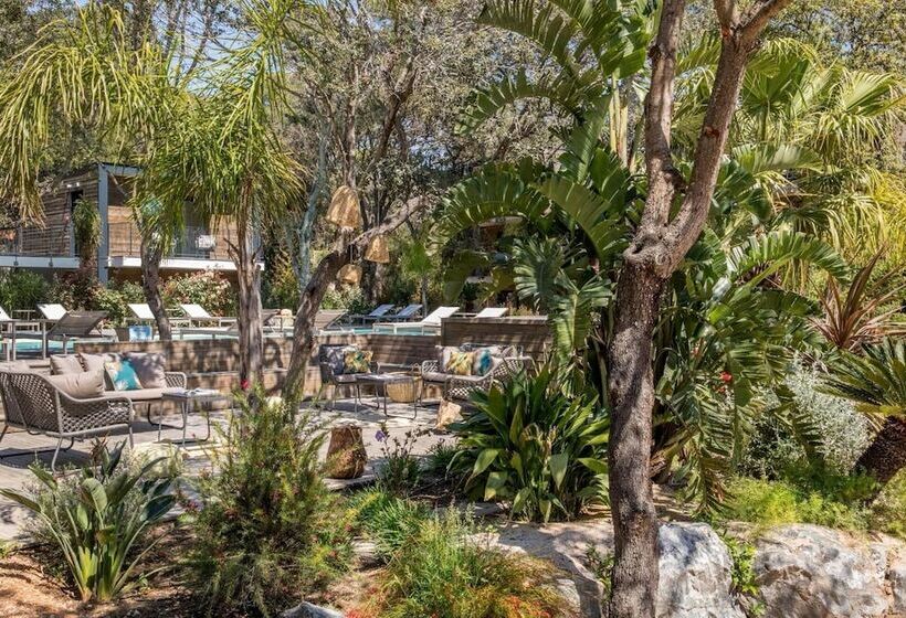 Hotel Le Lodge Des Iles D Or