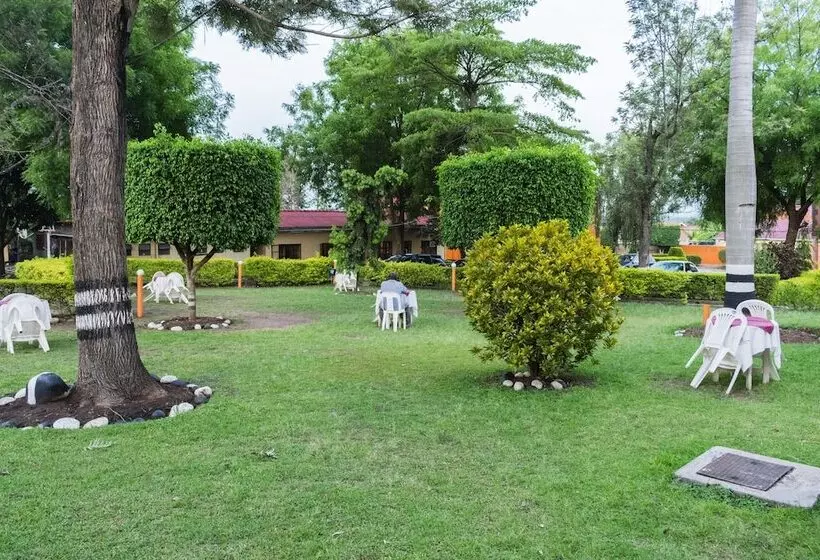 هتل Rwenzori International