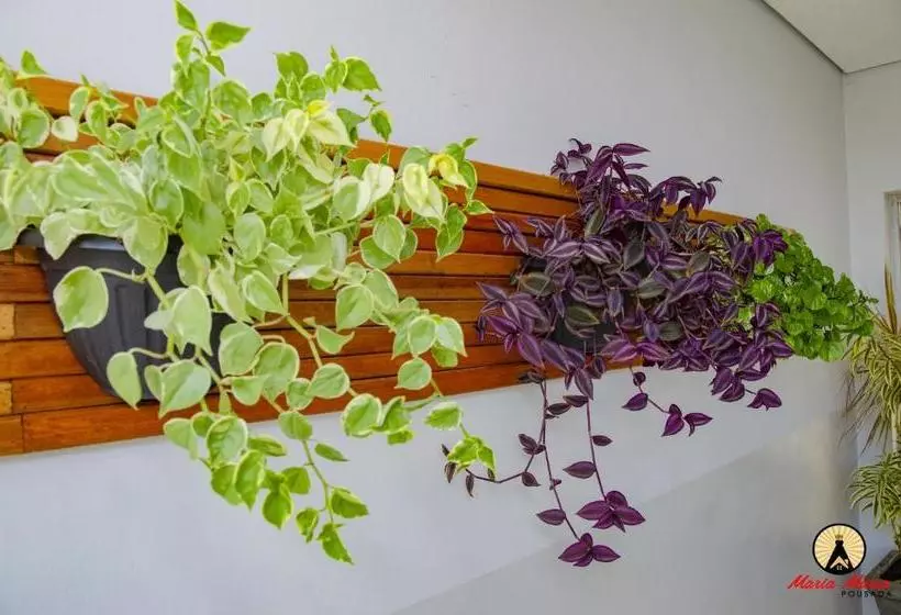 پانسیون Pousada Maria Maria Próximo Ao Santuário Nacional