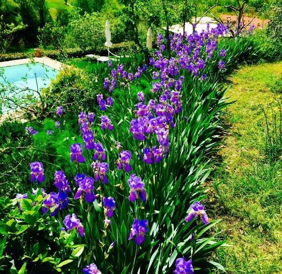 住宿加早餐  Casale Le Masse