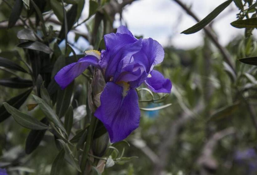 住宿加早餐  Casale Le Masse