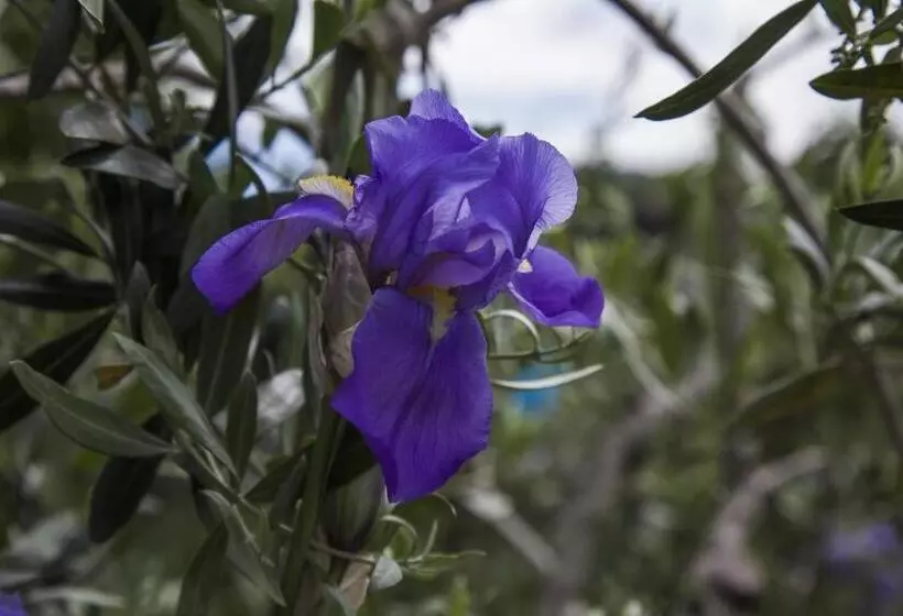 ベッドアンドブレックファースト Casale Le Masse