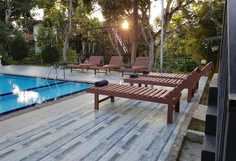 ユースホステル Ella Forest Paradise