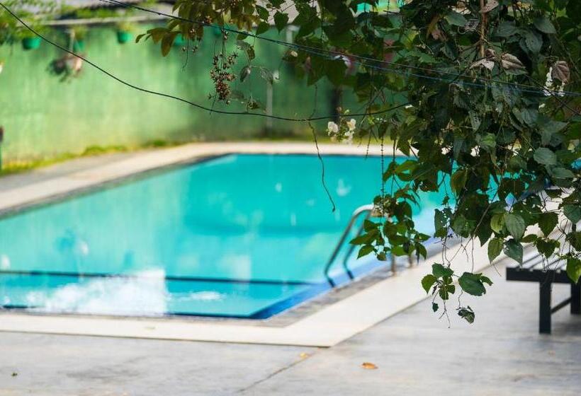 ユースホステル Ella Forest Paradise