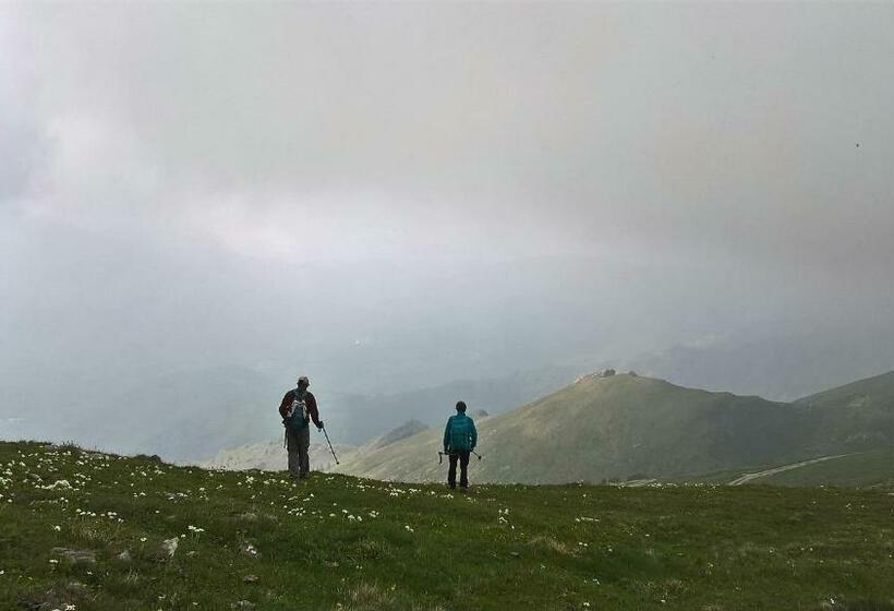 Отель Dell' Olmo