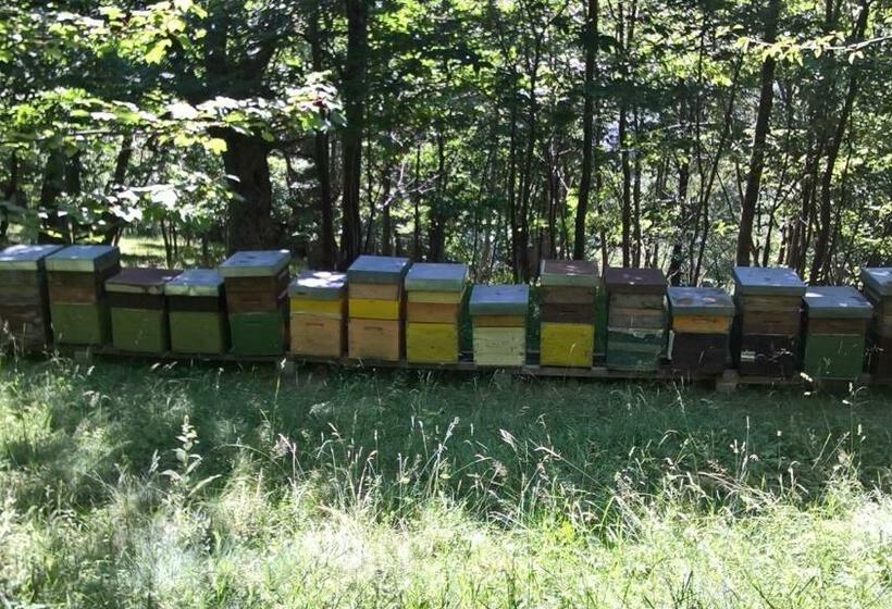 Отель Dell' Olmo