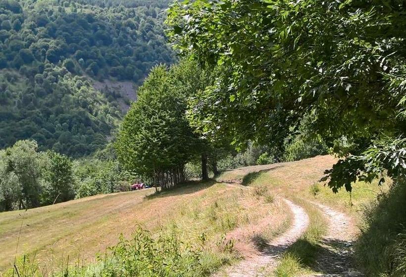 Отель Dell' Olmo