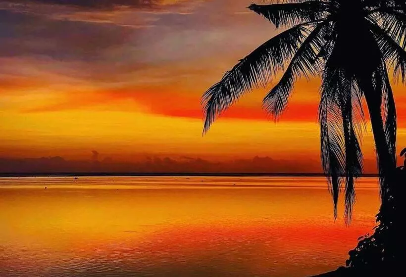 استراحتگاه Maui Palms