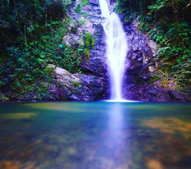 אתר נופש Maui Palms