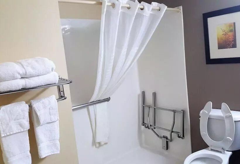 فندق Baymont By Wyndham Belleville Airport Area Free Airport Shuttle