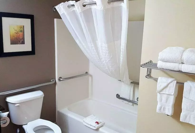 فندق Baymont By Wyndham Belleville Airport Area Free Airport Shuttle