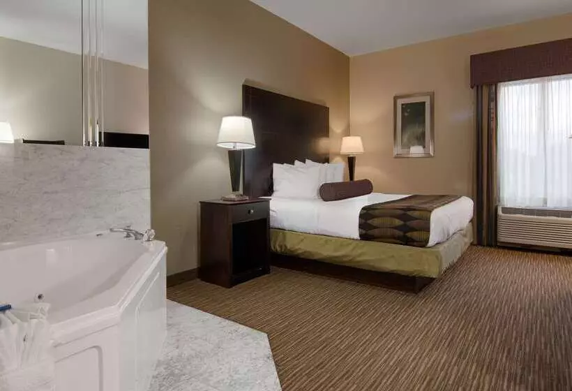 Szálloda Best Western Plus O Hare International South