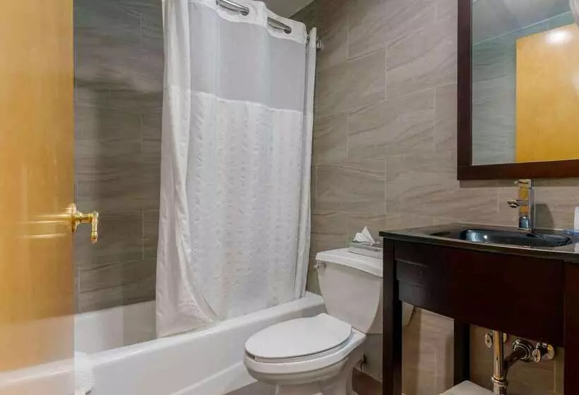 Hotelli Comfort Inn Brooklyn