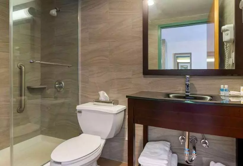 Hotelli Comfort Inn Brooklyn