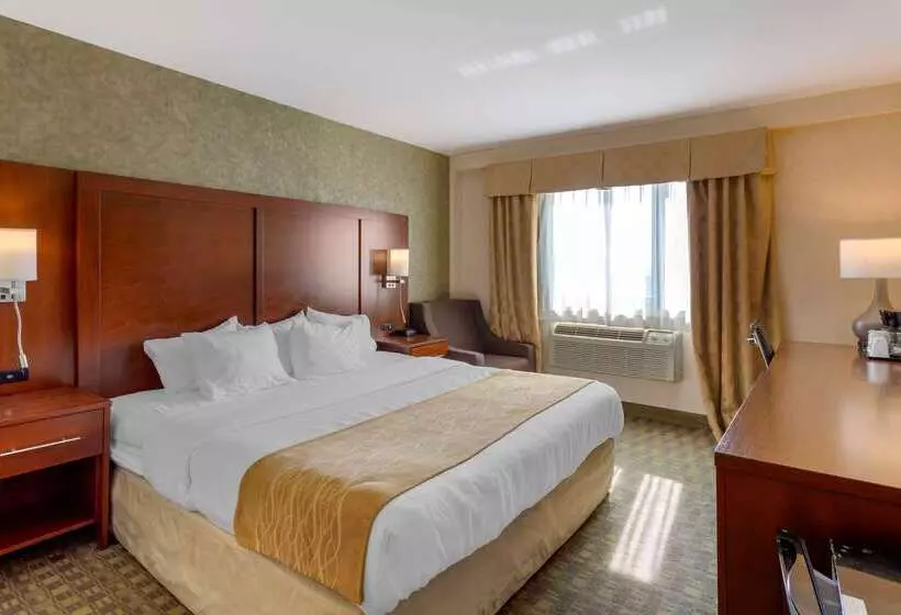 Hotelli Comfort Inn Brooklyn