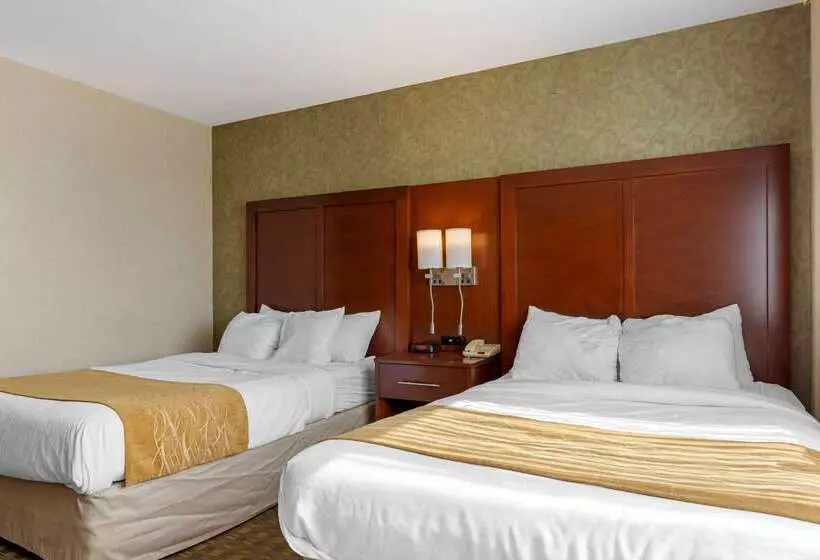 Hotelli Comfort Inn Brooklyn