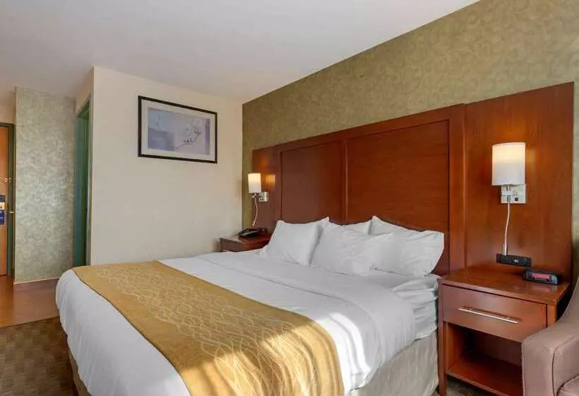 Hotelli Comfort Inn Brooklyn