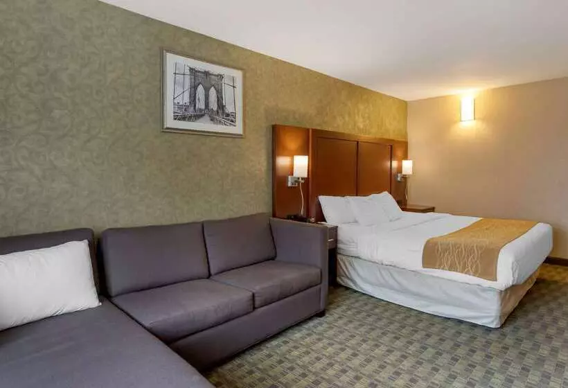 Hotelli Comfort Inn Brooklyn