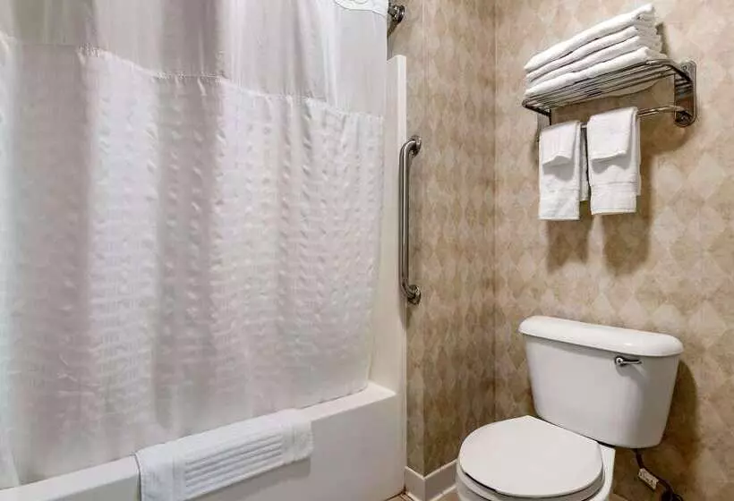 Отель Comfort Inn Dyersville Near The Field Of Dreams