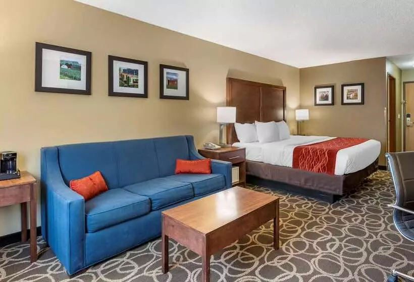 Отель Comfort Inn Dyersville Near The Field Of Dreams