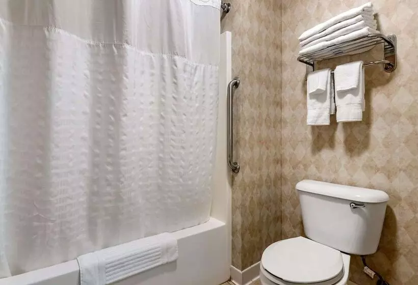 Отель Comfort Inn Dyersville Near The Field Of Dreams