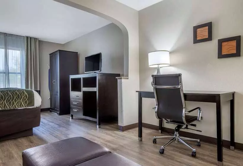 酒店 Comfort Inn Near Downtown & Blue Ridge Pkwy